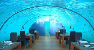 رستوران تنگ ماهی در زیر دریا